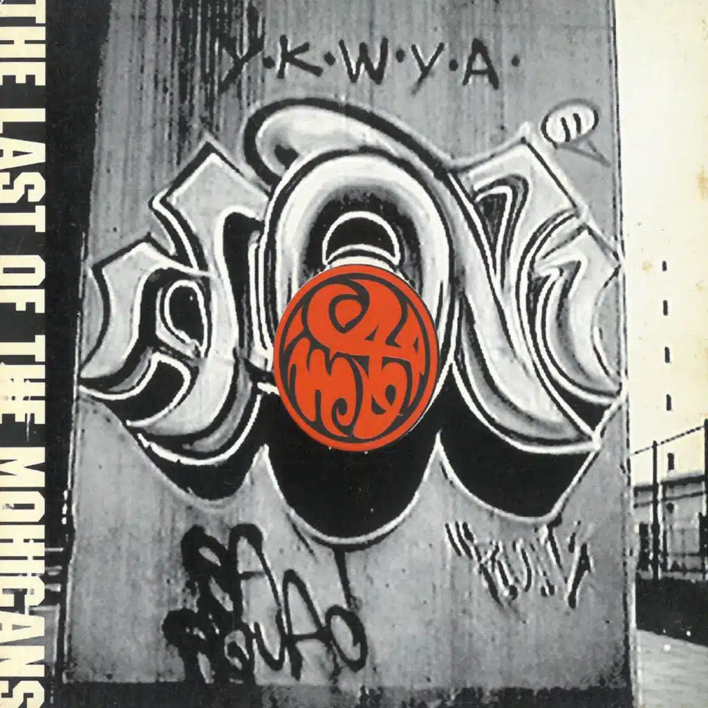 The Last Of The Mohicans