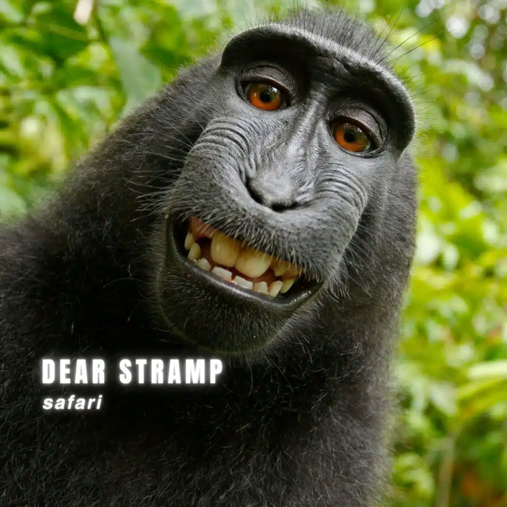 Dear Stramp