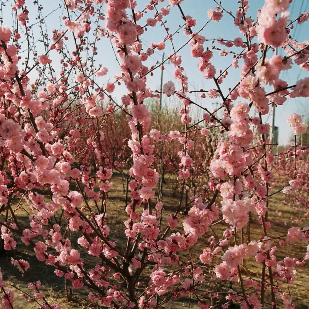 Never Thought (Devault Remix) (feat. Trevor Daniel)