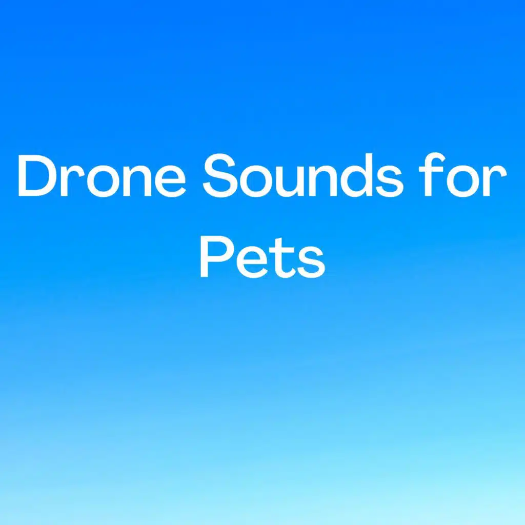 Drone Sounds for Pets