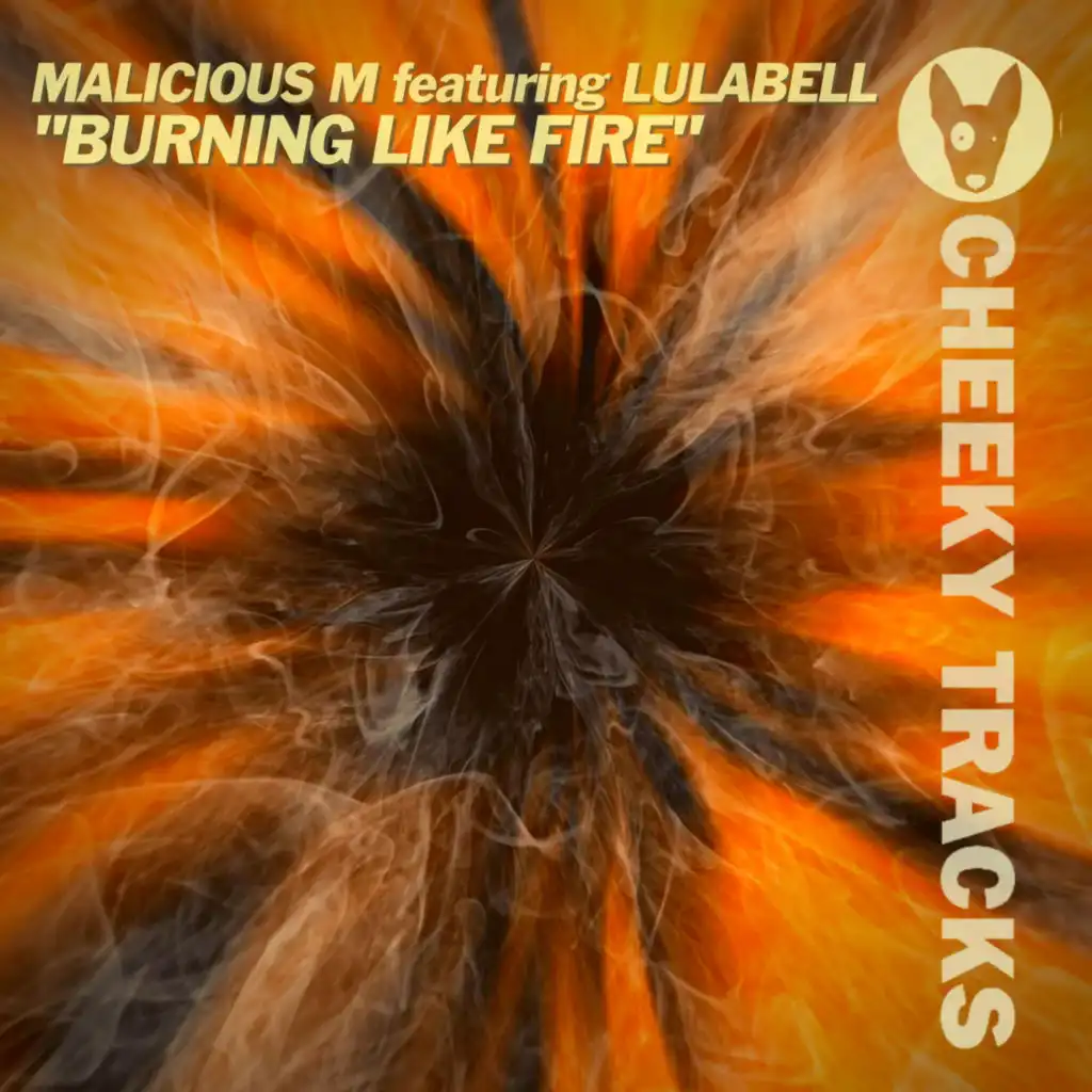 Burning Like Fire (Radio Edit) [feat. Lulabell]
