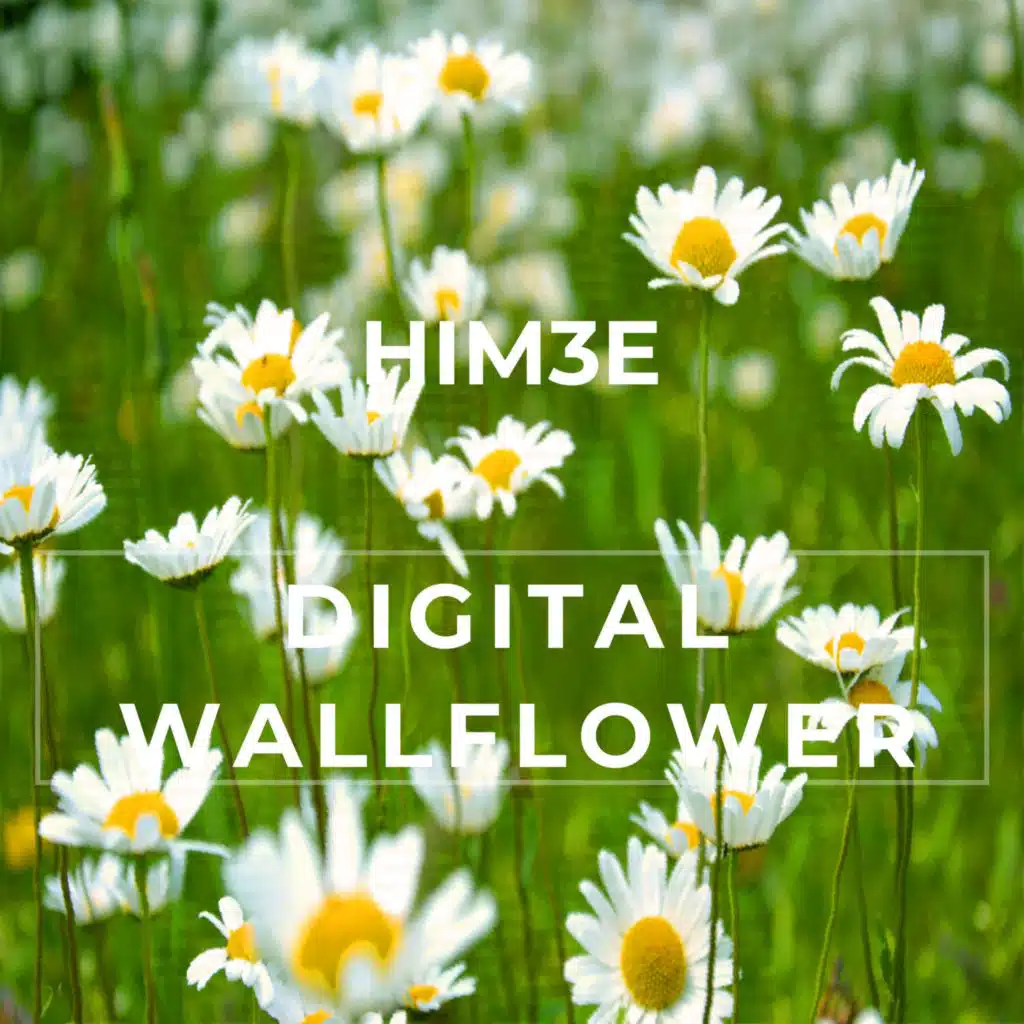 Digital Wallflower