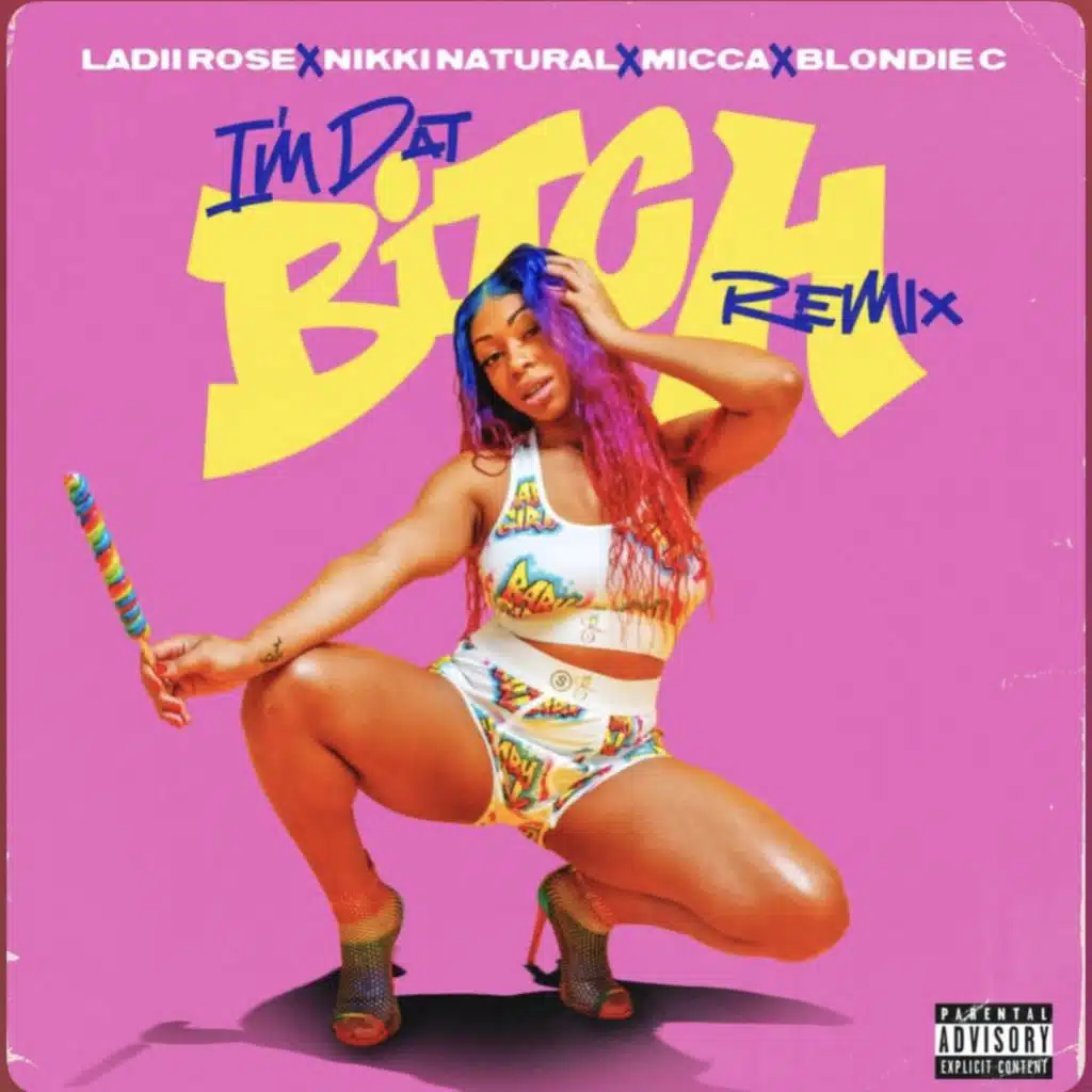 Im Dat Bitch (Remix) [feat. Nikki Natural, Blondie C, Micca & Ladii Rose]