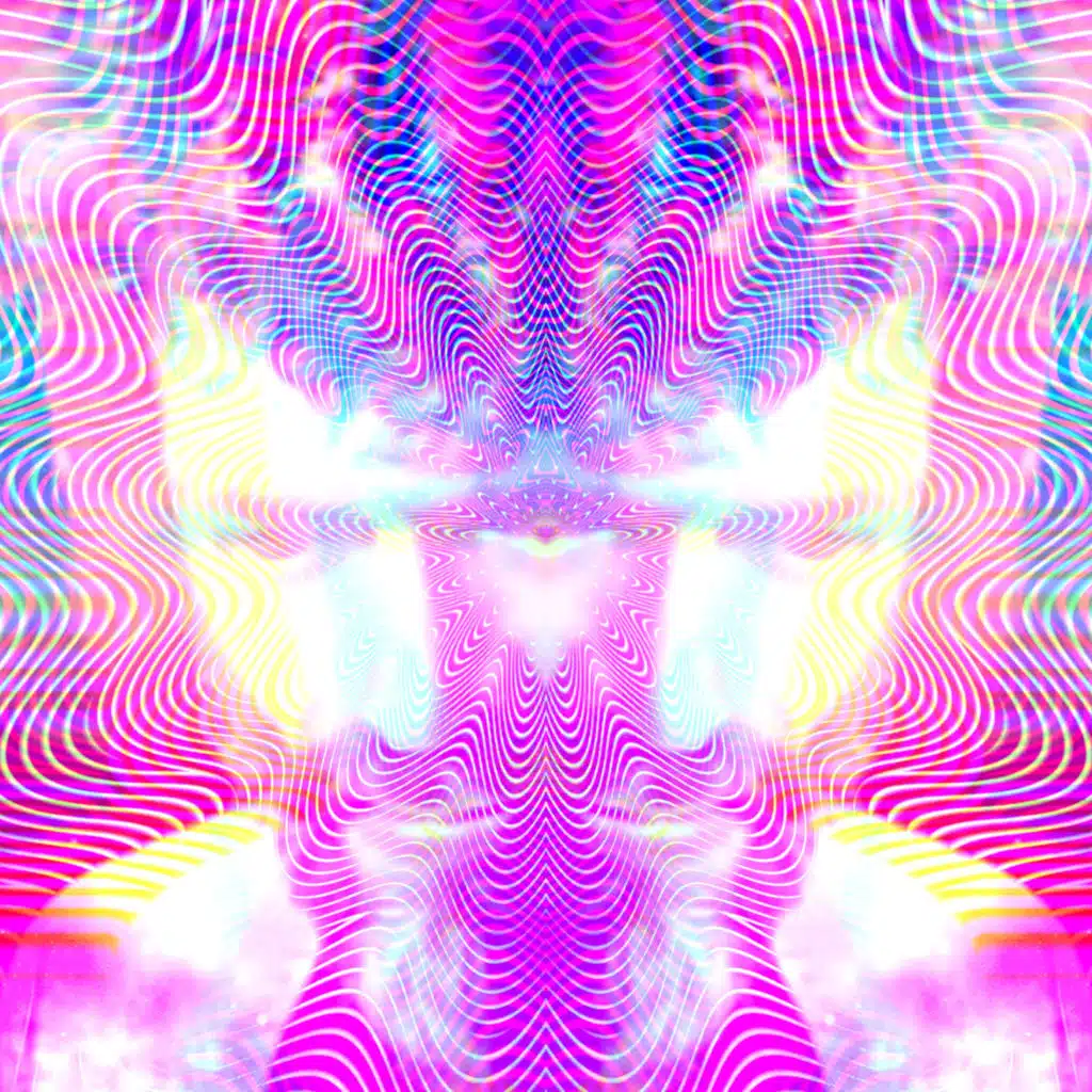 Akira the Don & Terence Mckenna