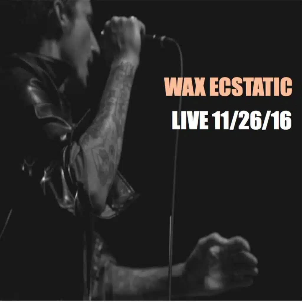 Wax Ecstatic Live