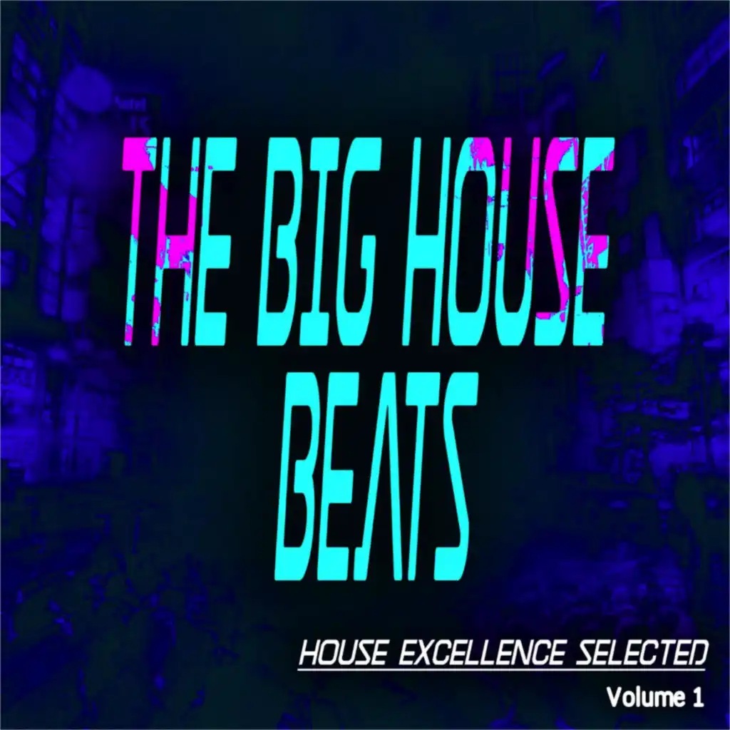 The Big House Beats, Vol. 1 (House Excellence Selected)