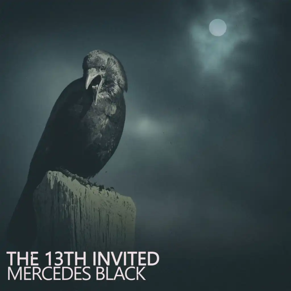 The 13th Invited