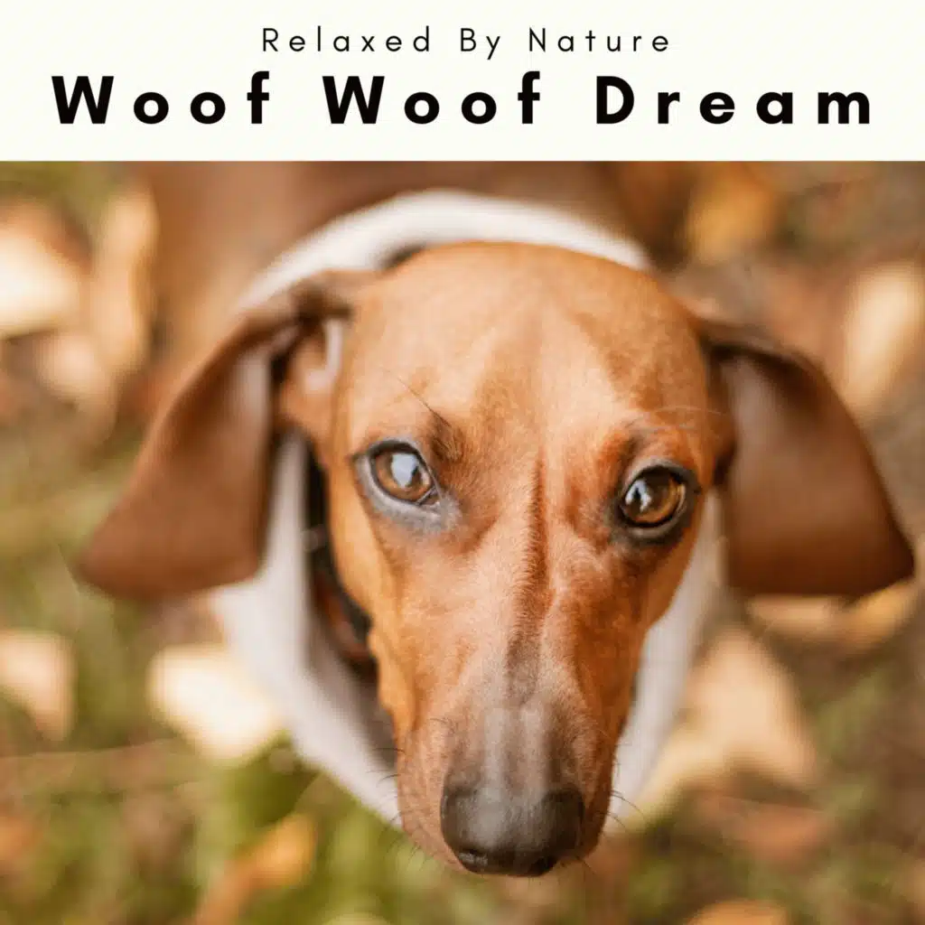 1 Woof Woof Dream