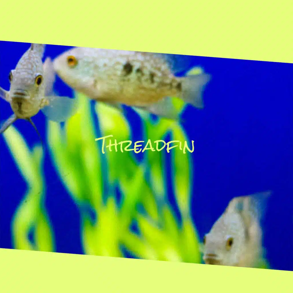 Threadfin