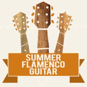 Summer Flamenco Guitar