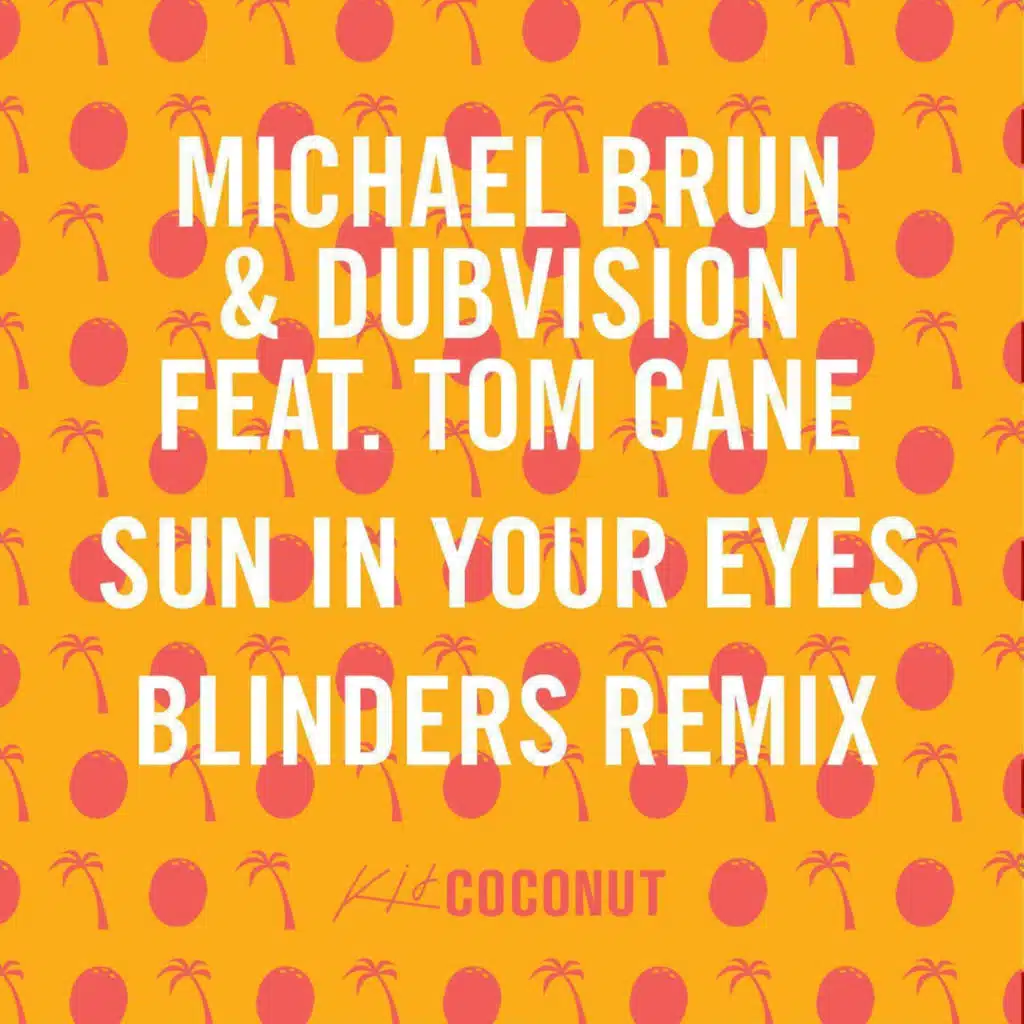 Michael Brun / Dubvision