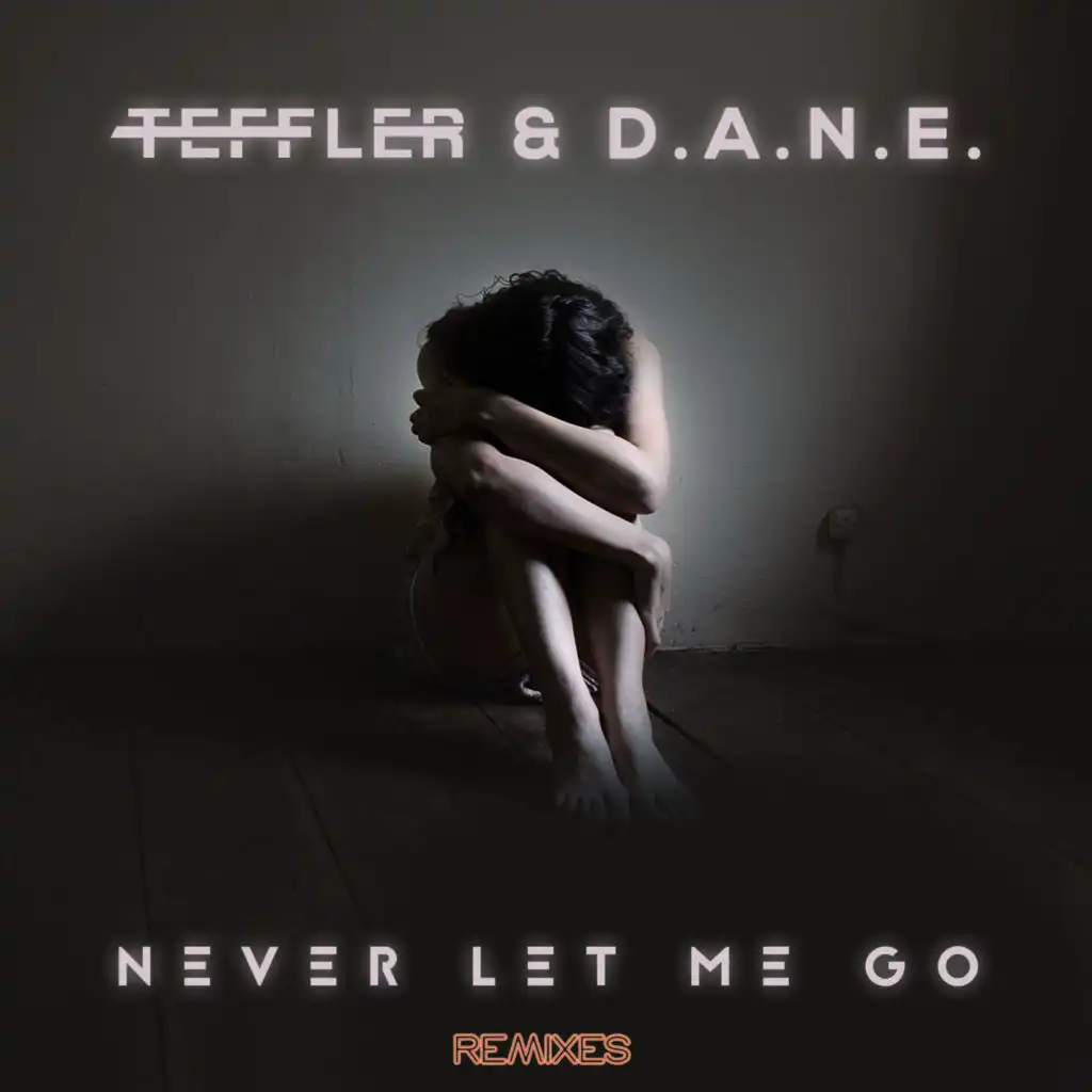 Never Let Me Go (Remixes)