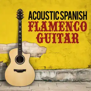 Acoustic Spanish Flamenco Guitar