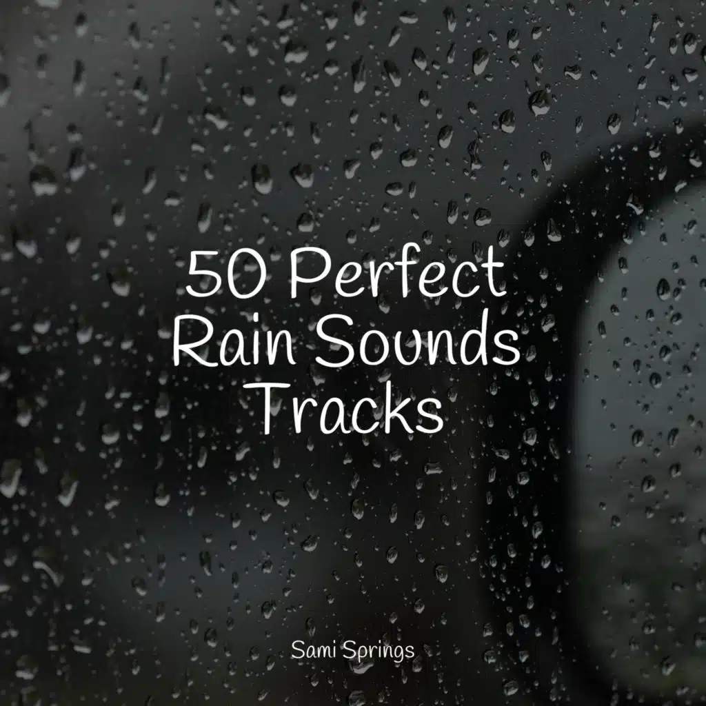 Shakuhachi Sakano & Rain Shower Spa