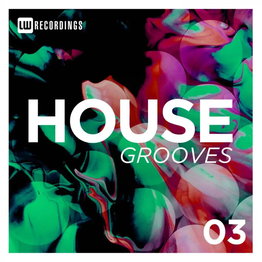 House Grooves, Vol. 03