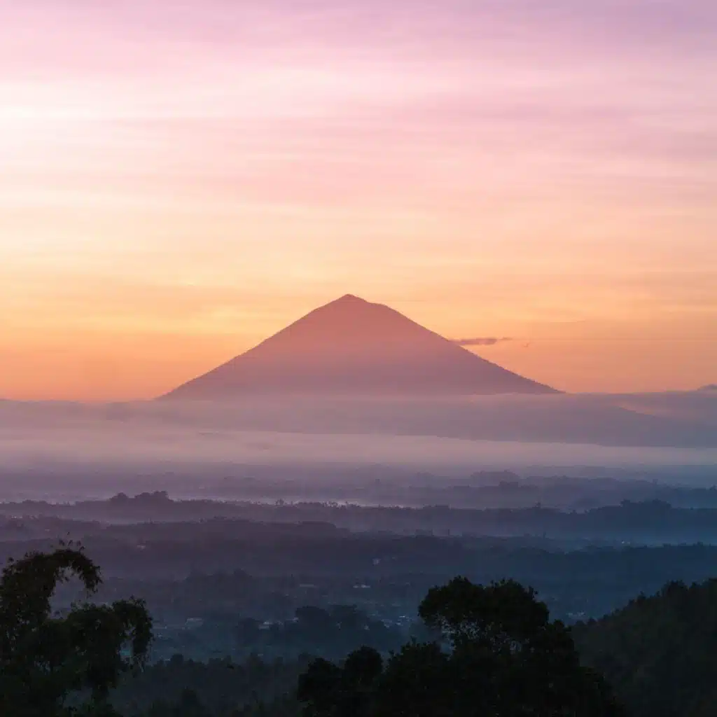 New Awakening
