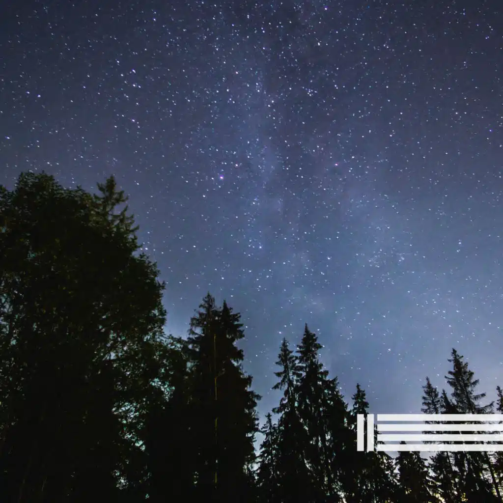 Sonidos De La Naturaleza Nocturna