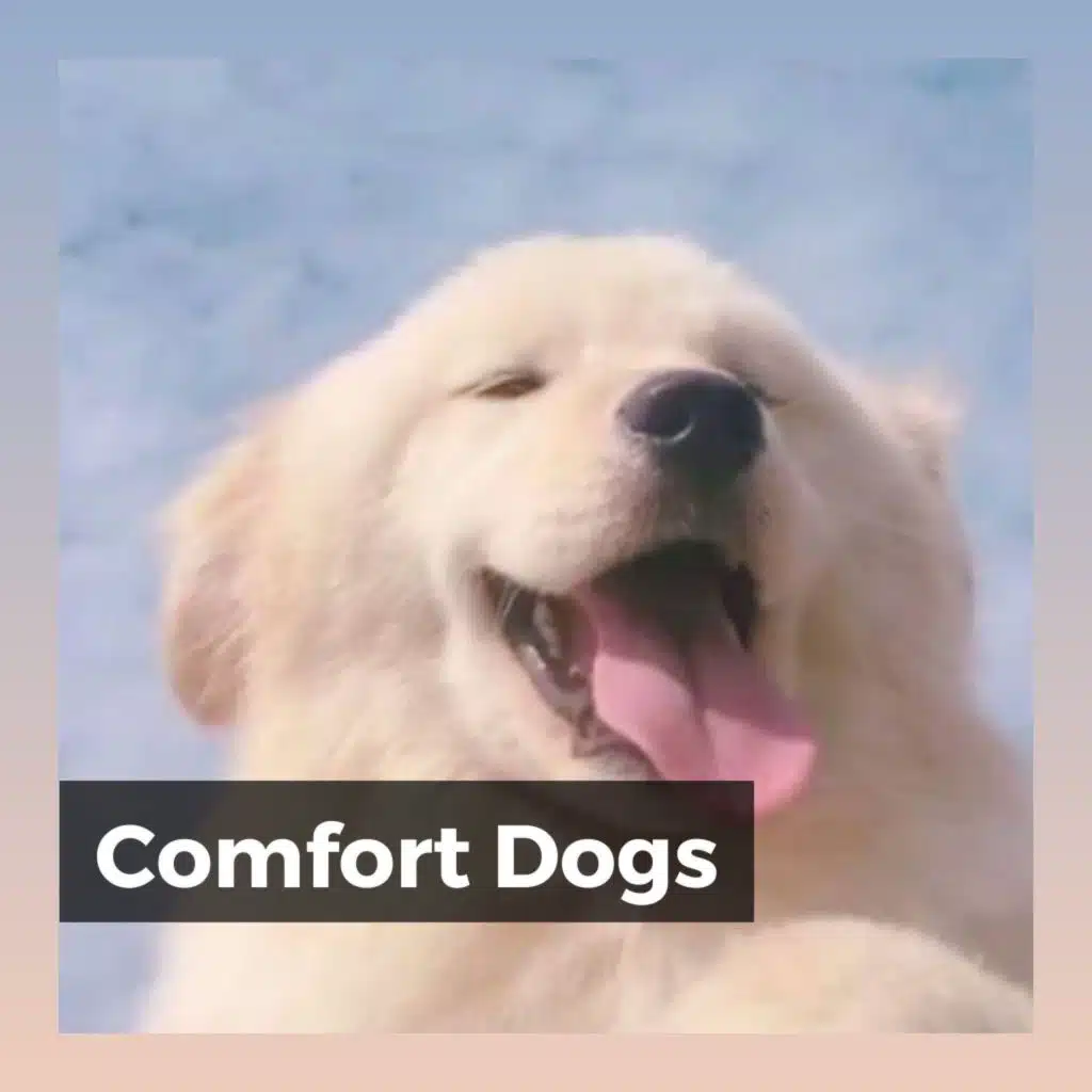 Dog Music, Dog Music Therapy & Sleeping Music For Dogs