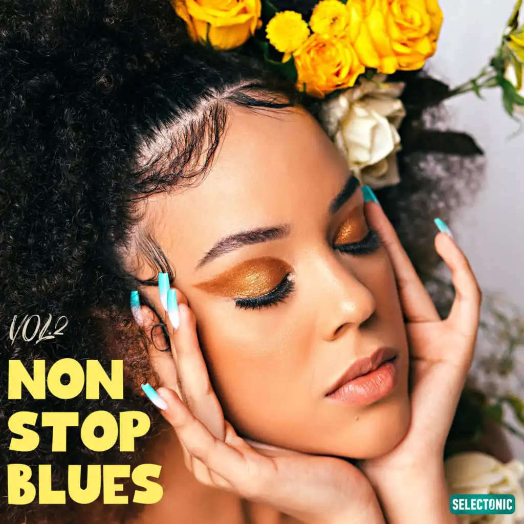 Non Stop Blues, Vol. 2
