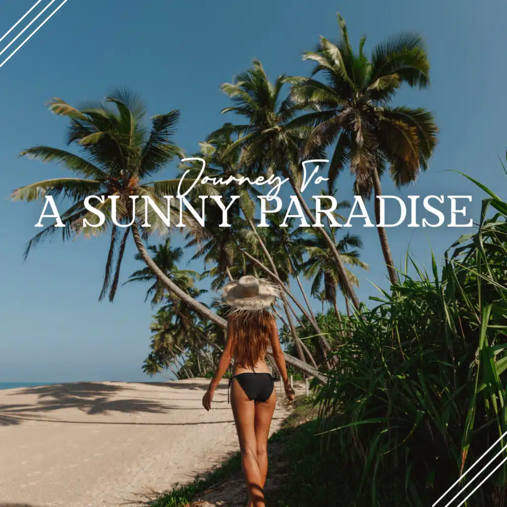 Journey To A Sunny Paradise