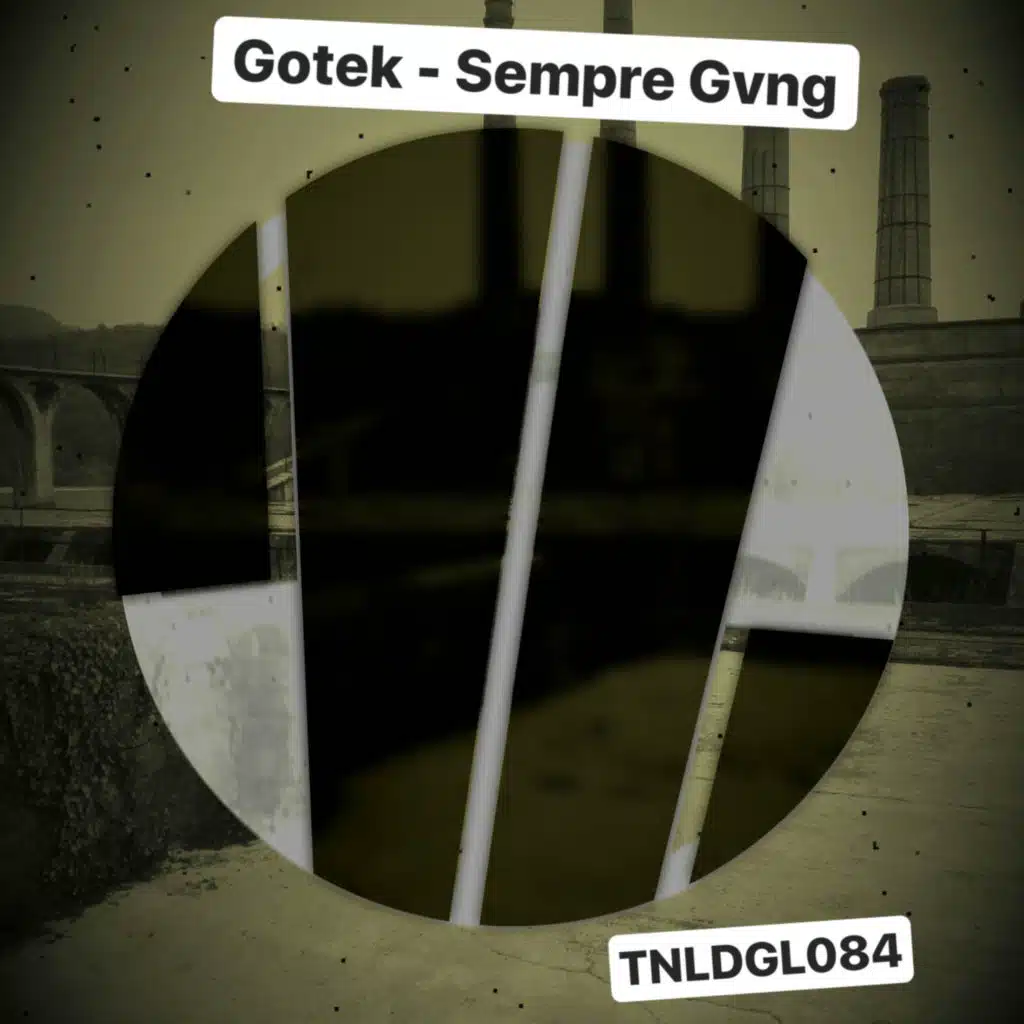 Gotek