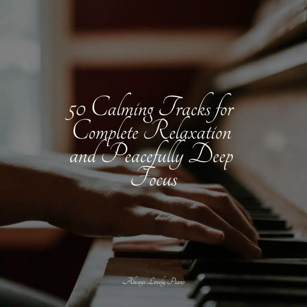 50 Calming Tracks for Complete Relaxation and Peacefully Deep Focus