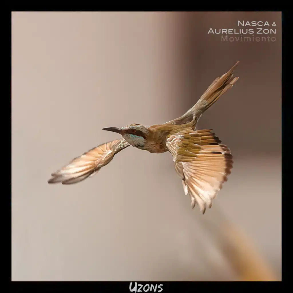 Nasca & Aurelius Zon