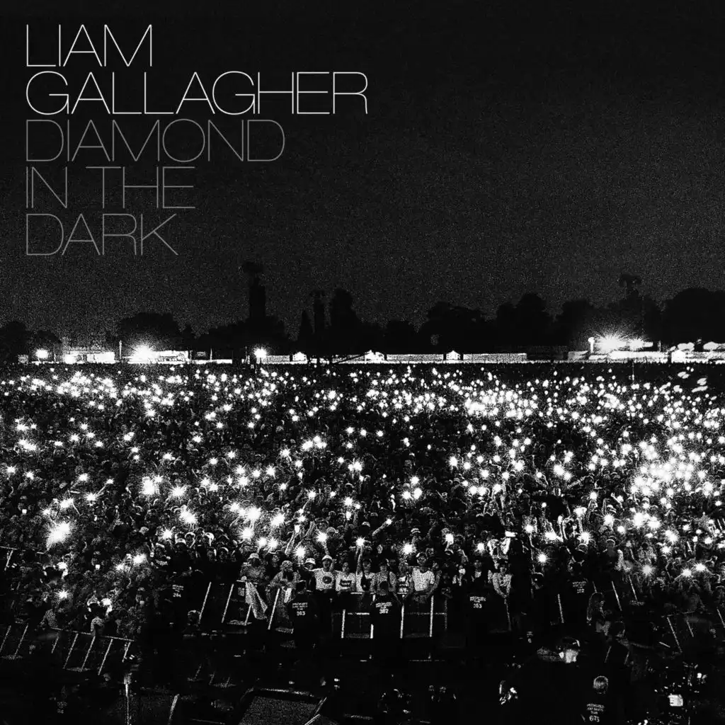 Diamond In The Dark (Live From Knebworth 22)