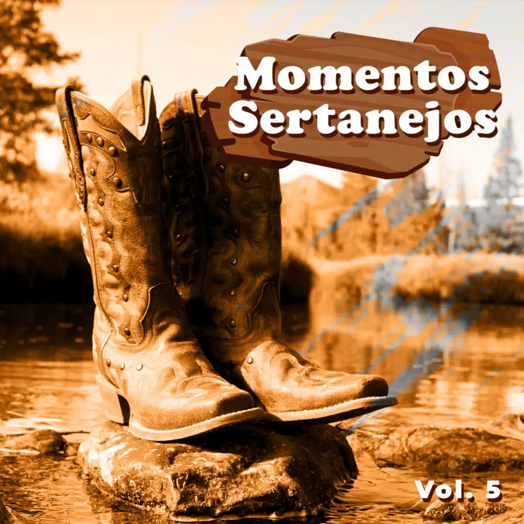 Momentos Sertanejos, Vol.5