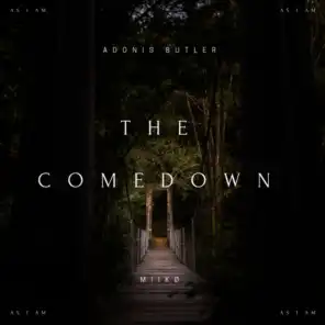 The Comedown (feat. MIIKØ)