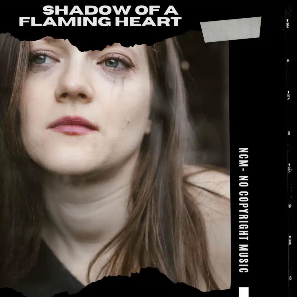 Shadow Of A Flaming Heart