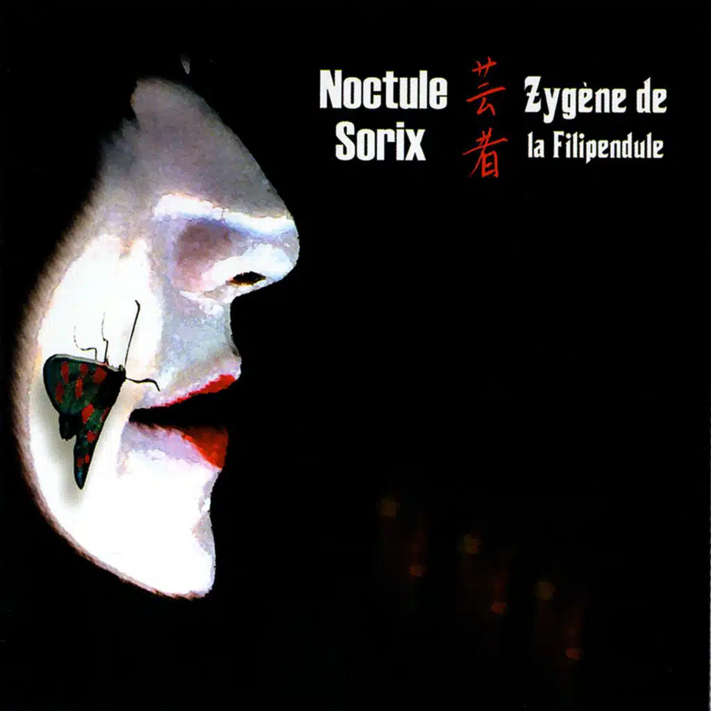 Zygène de la Filipendule