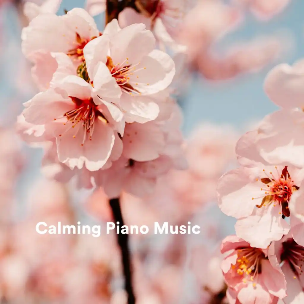 Calming Piano Music, Spa Music Consort & Reading Background Music