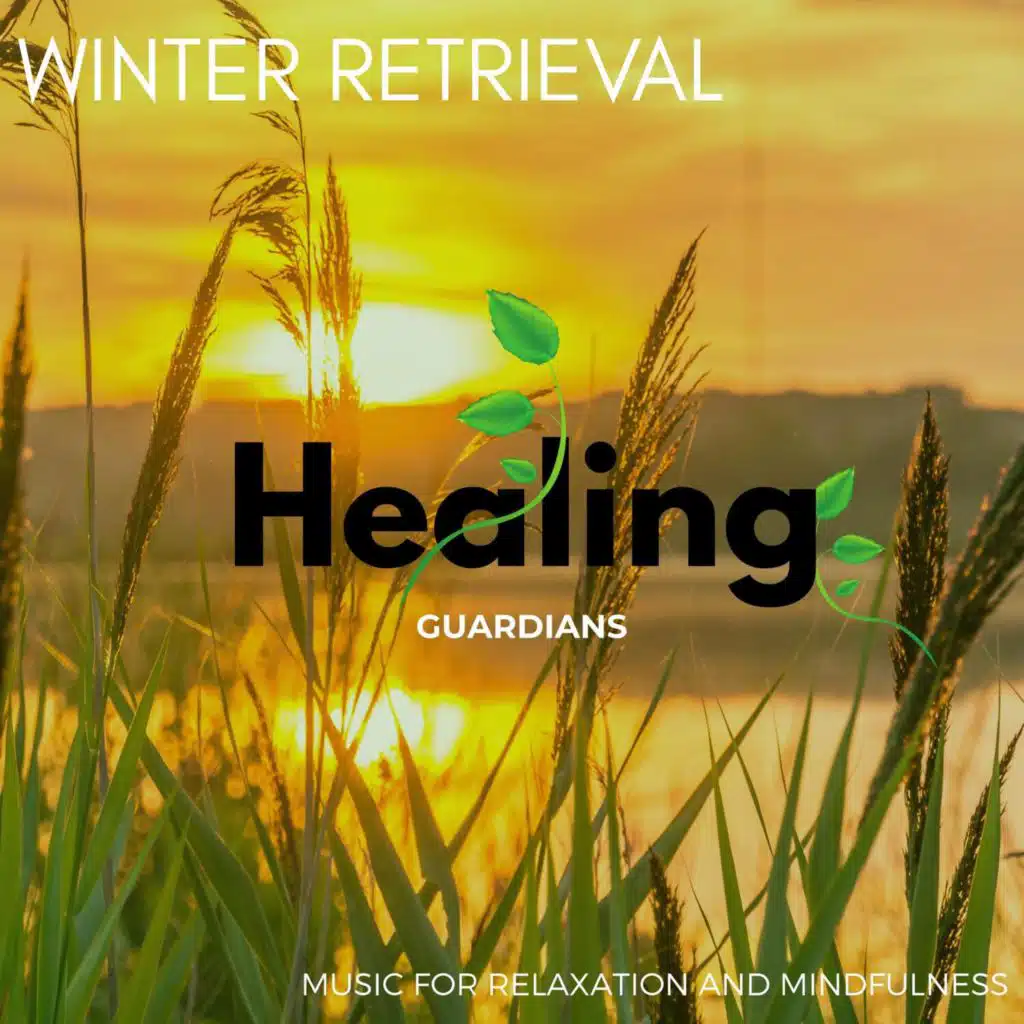 Start Morning with Bird's Chirping