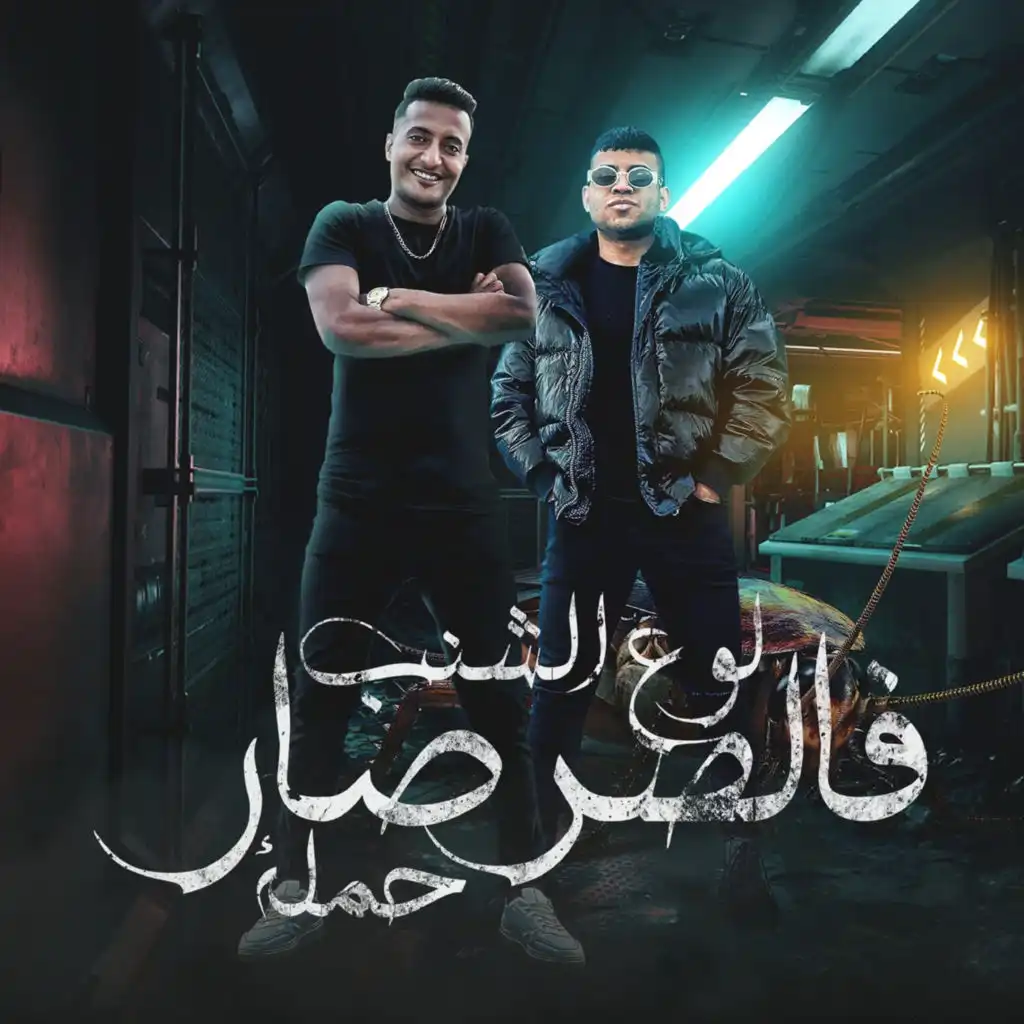 لو علي الشنب فالصرصار حمله (feat. Ahmed El Dogary)