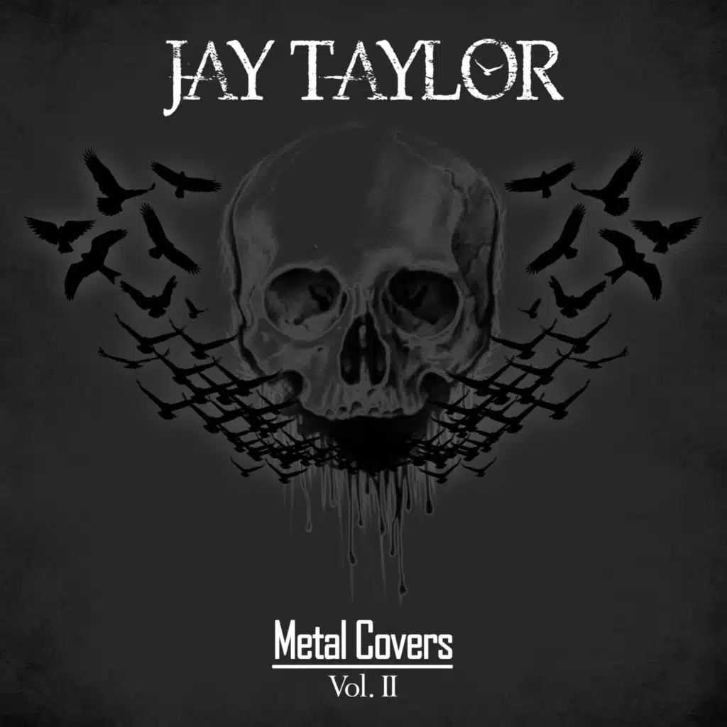 Metal Covers - Vol. 2