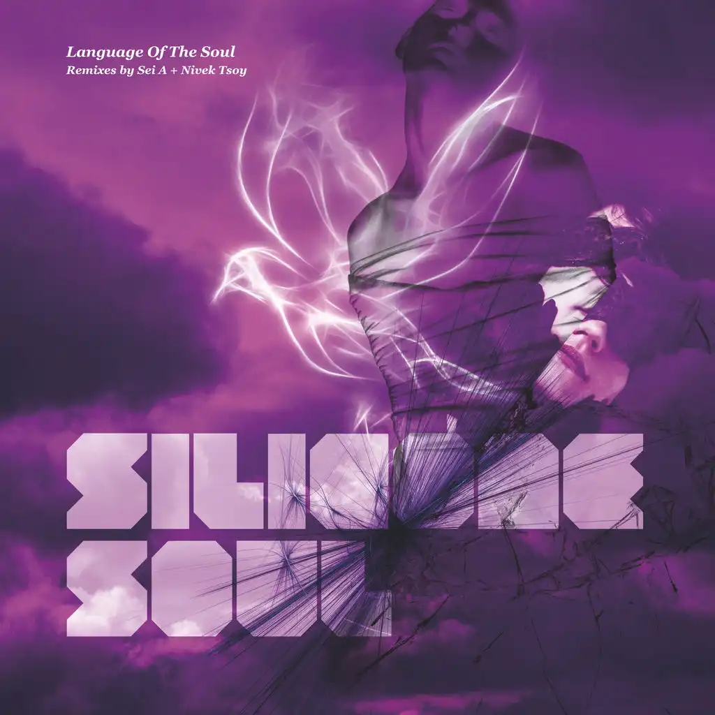 Language of the Soul (12" Mix)