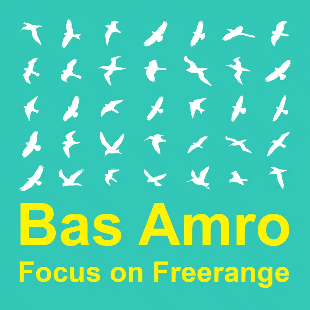 Focus On : Freerange&nbsp; Bas Amro