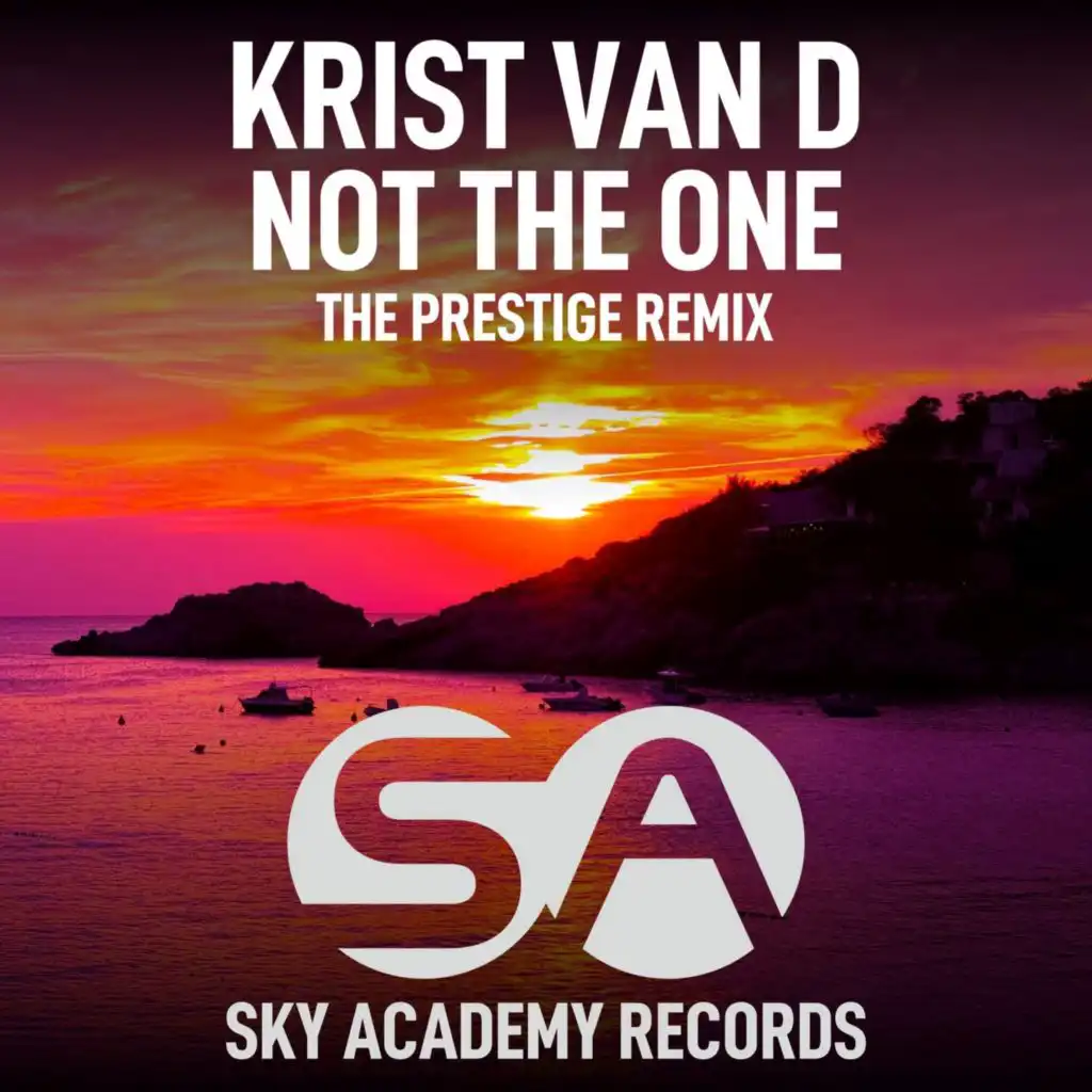 Not The One (The Prestige Remix Radio Edit)