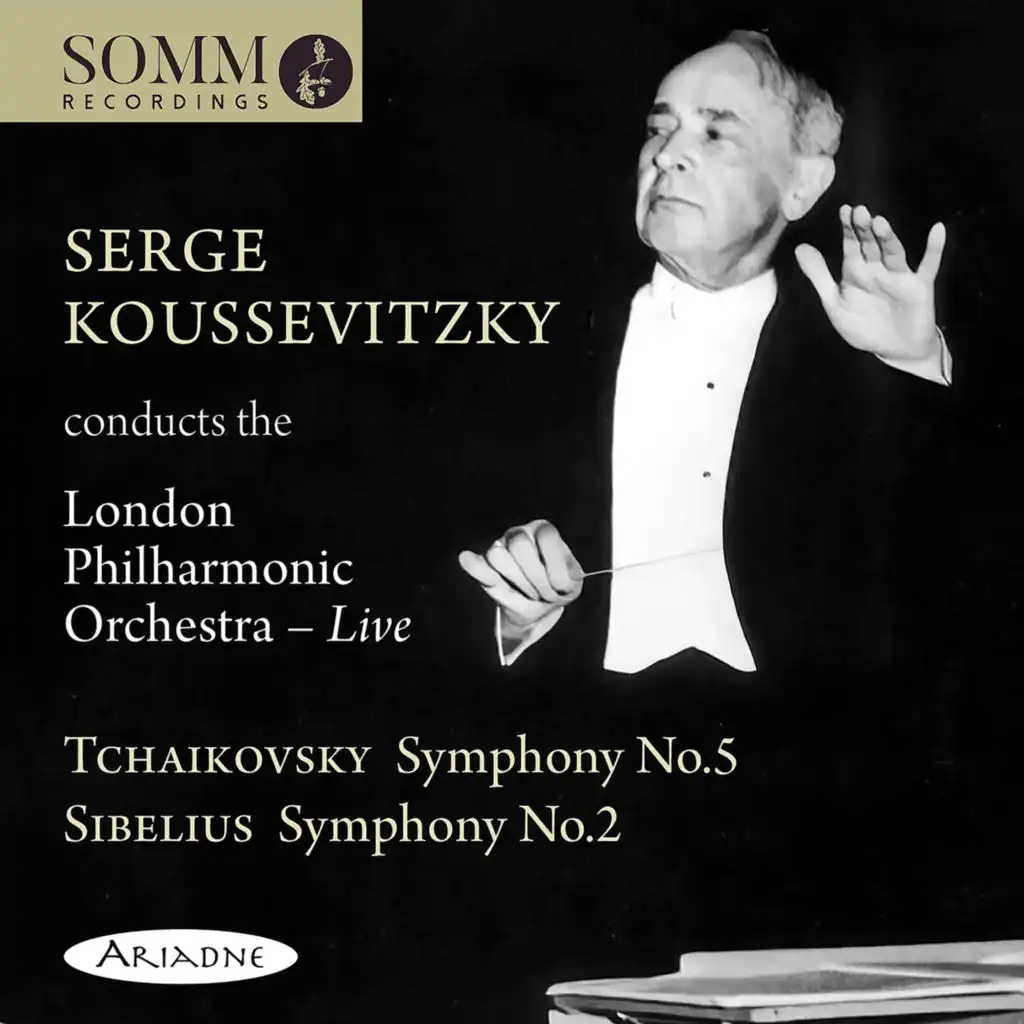 Symphony No. 2 in D Major, Op. 43: I. Allegretto (Live)