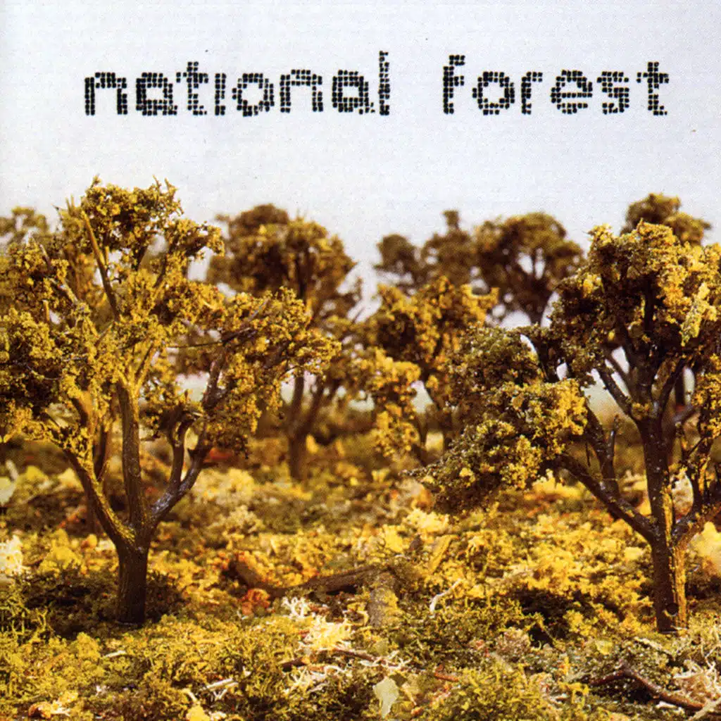 National Forest
