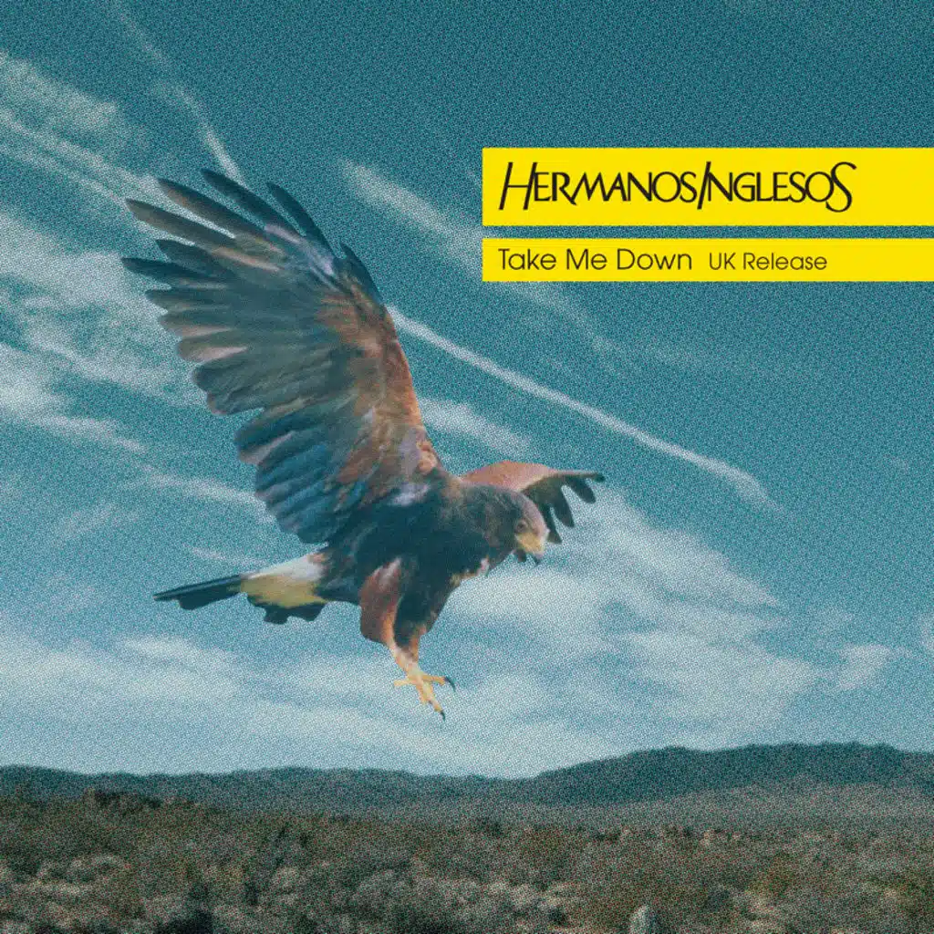 Take Me Down (Jan Driver remix)