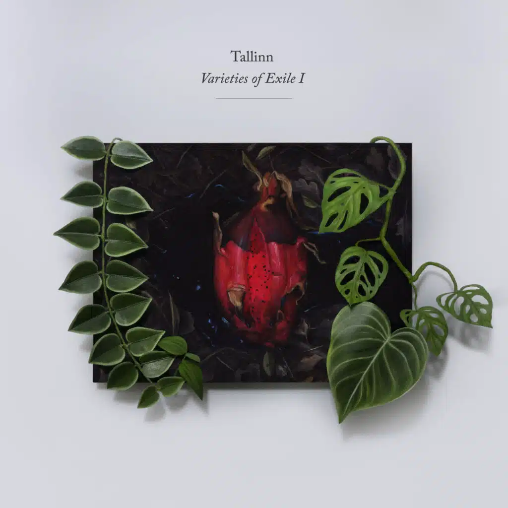 Varieties of Exile I