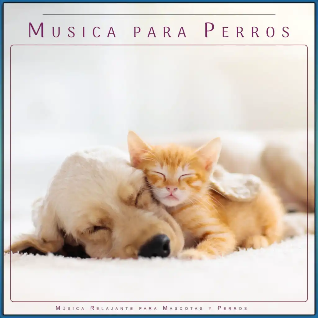 Música Relajante para Perros Mientras No Estás en Casa