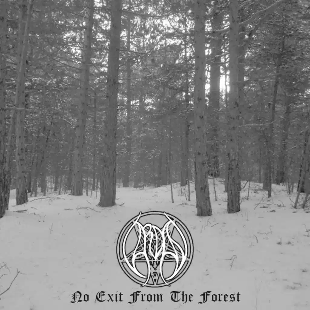 No Exit from the Forest