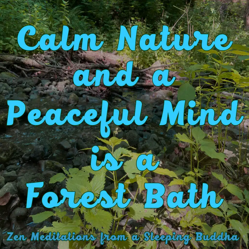 Zen Meditations from a Sleeping Buddha