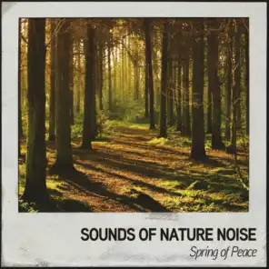Sounds of Nature Noise: Spring of Peace
