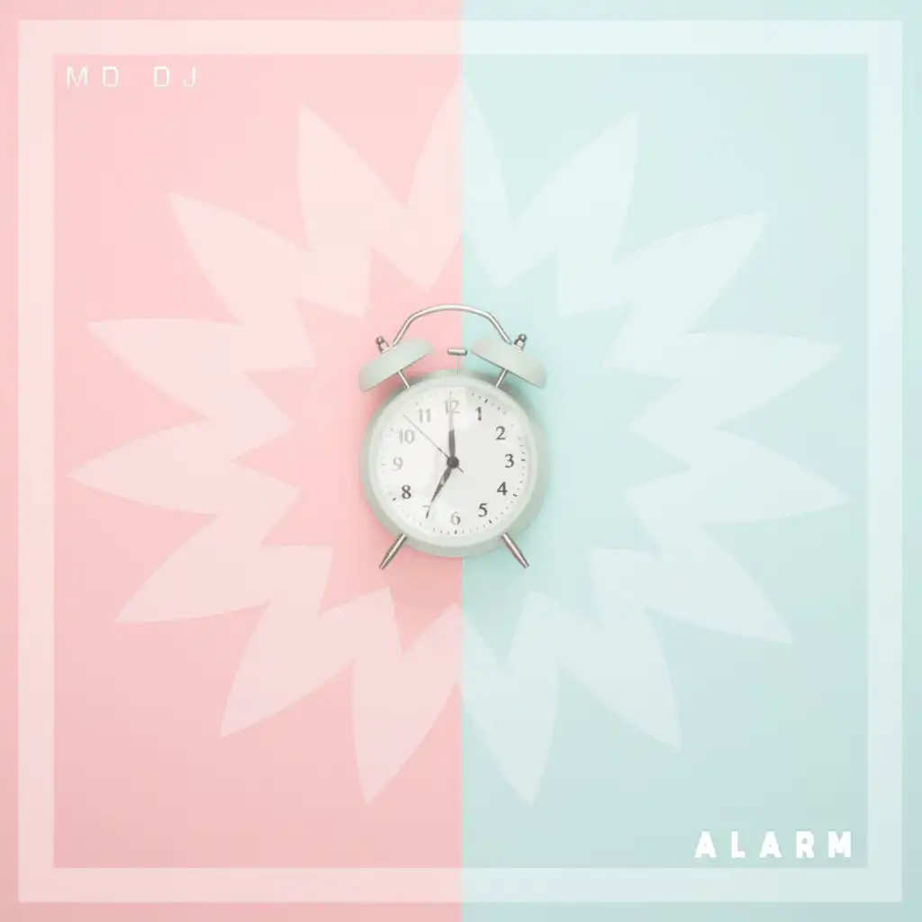 Alarm (Extended Version)