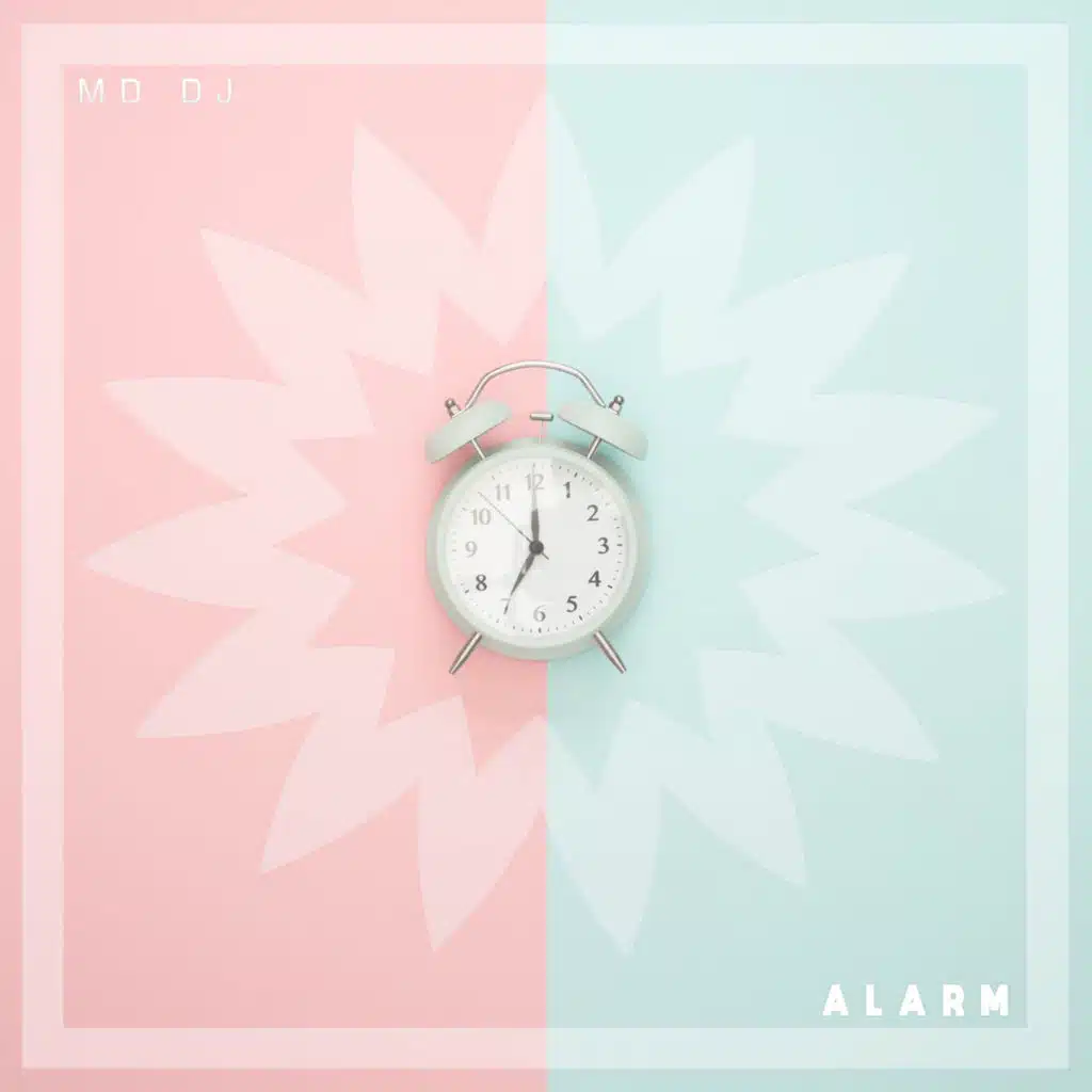 Alarm (Extended Version)