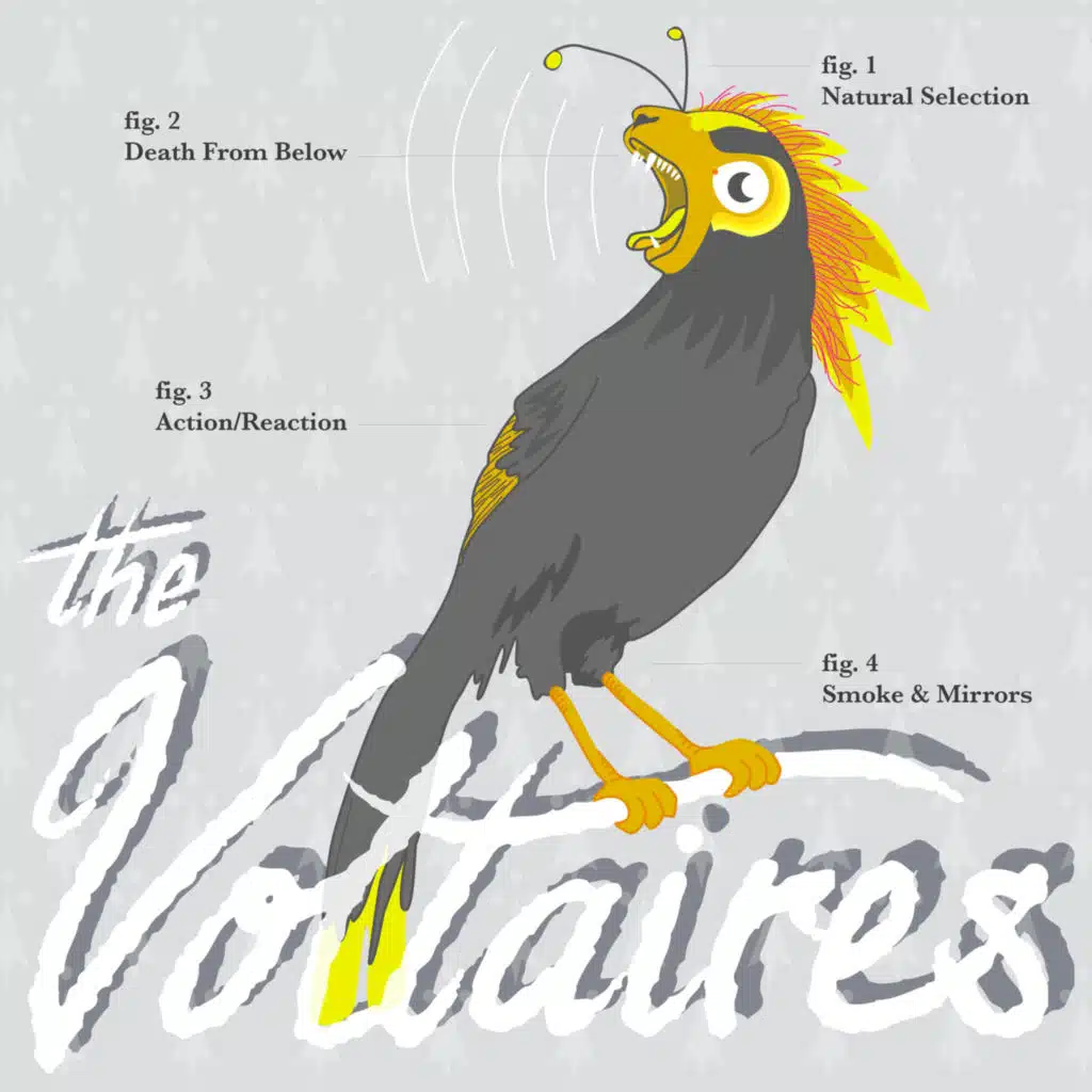 The Voltaires